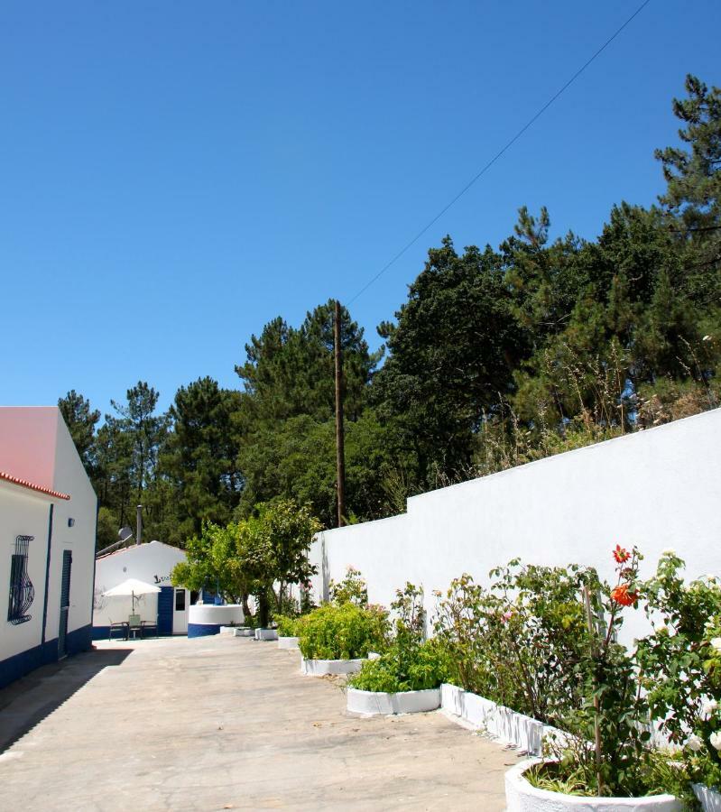 Bed and Breakfast Casa Do Loureiro Branco à Santarém Extérieur photo