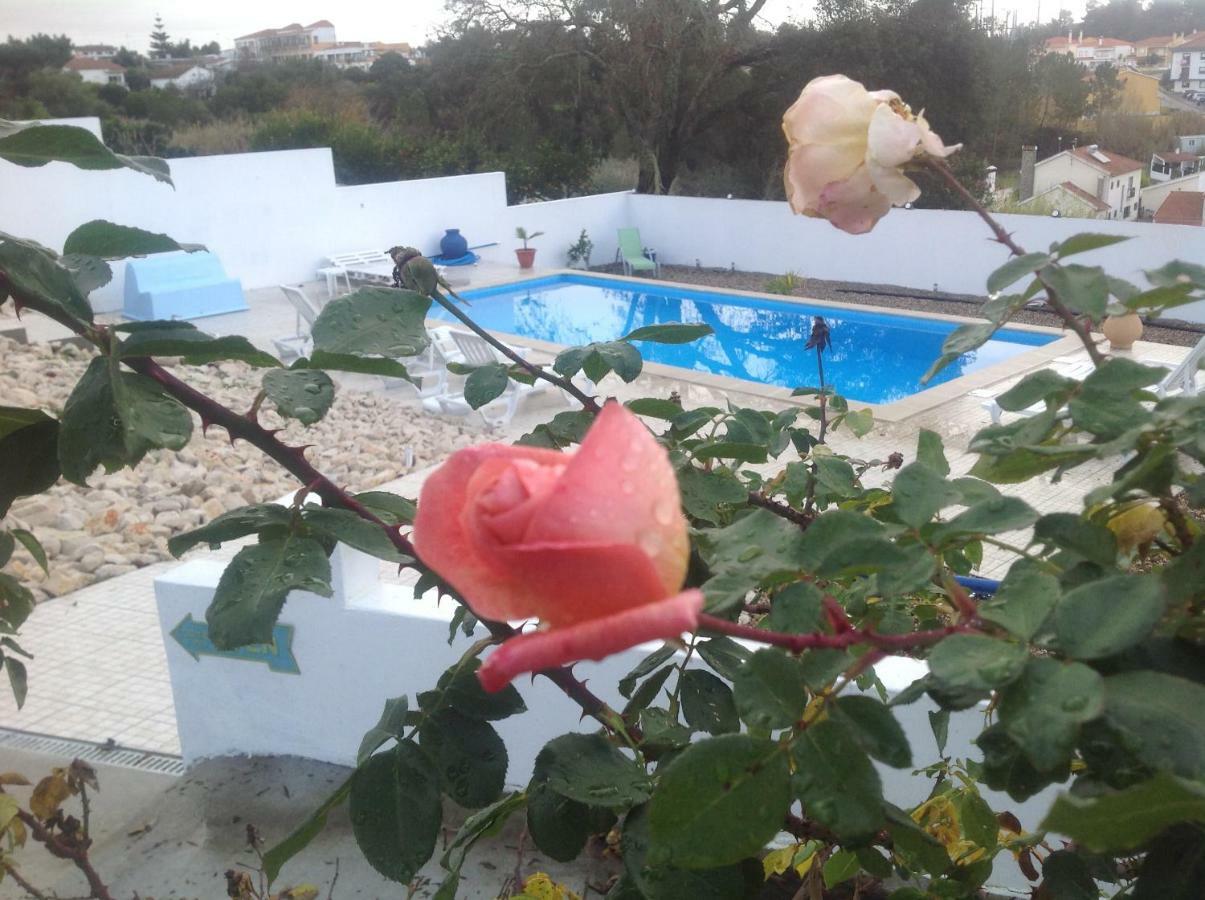 Bed and Breakfast Casa Do Loureiro Branco à Santarém Extérieur photo